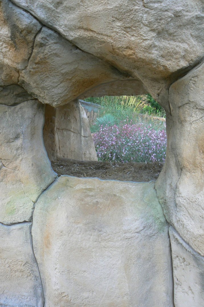 Tasmanian devils exhibit