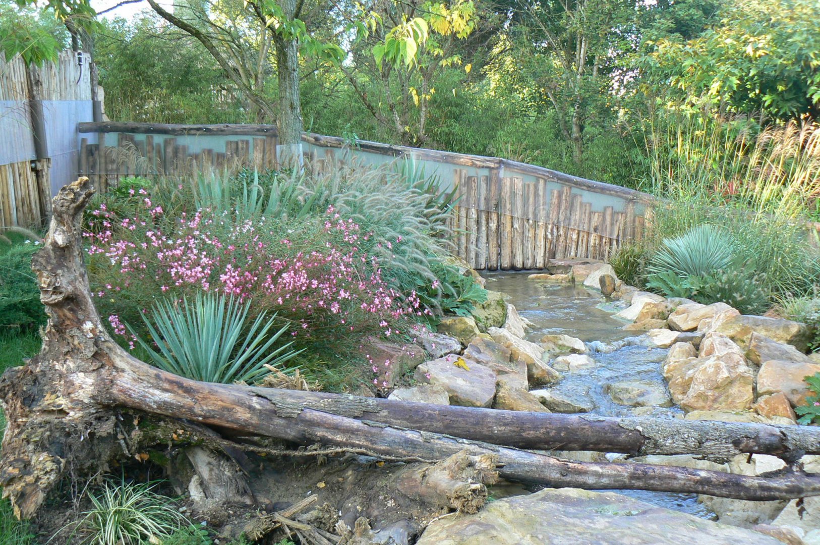 Tasmanian devils exhibit