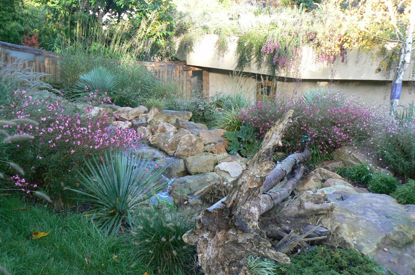 Tasmanian devils exhibit