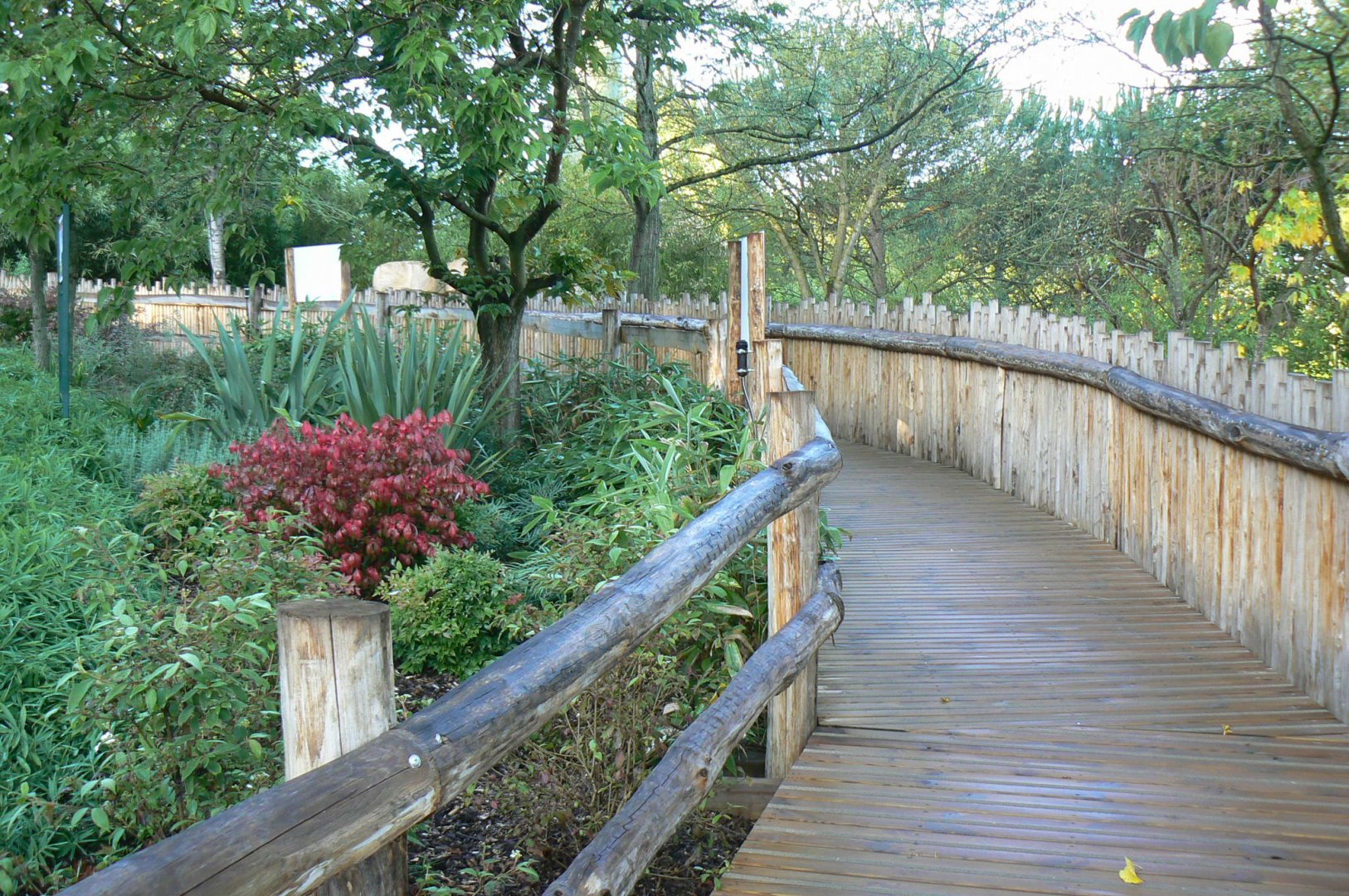 Tasmanian devils exhibit