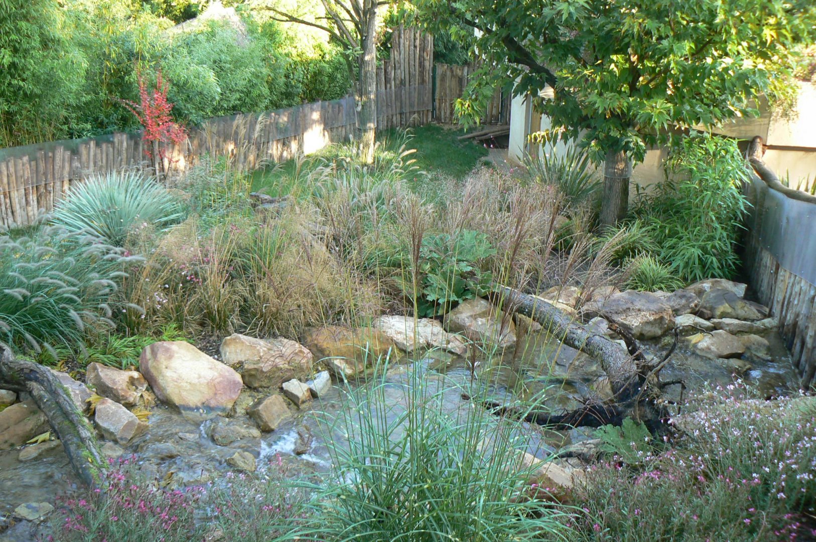 Tasmanian devils exhibit