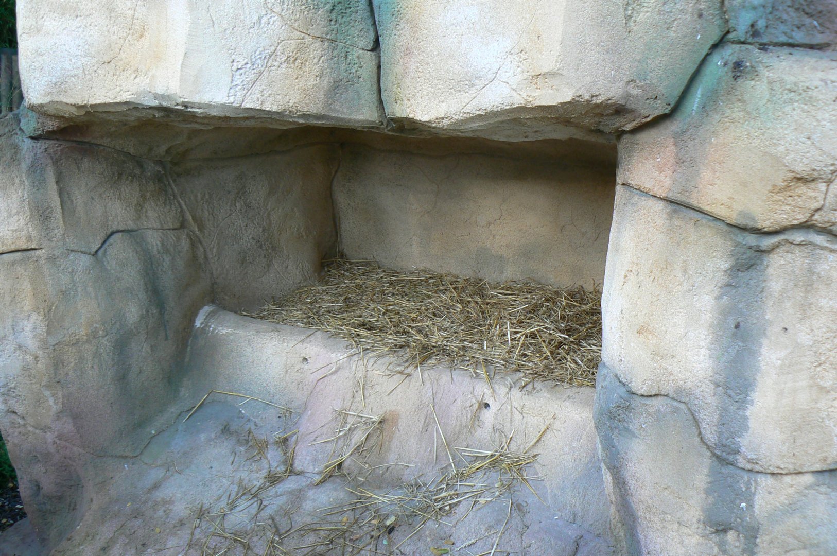 Tasmanian devils exhibit