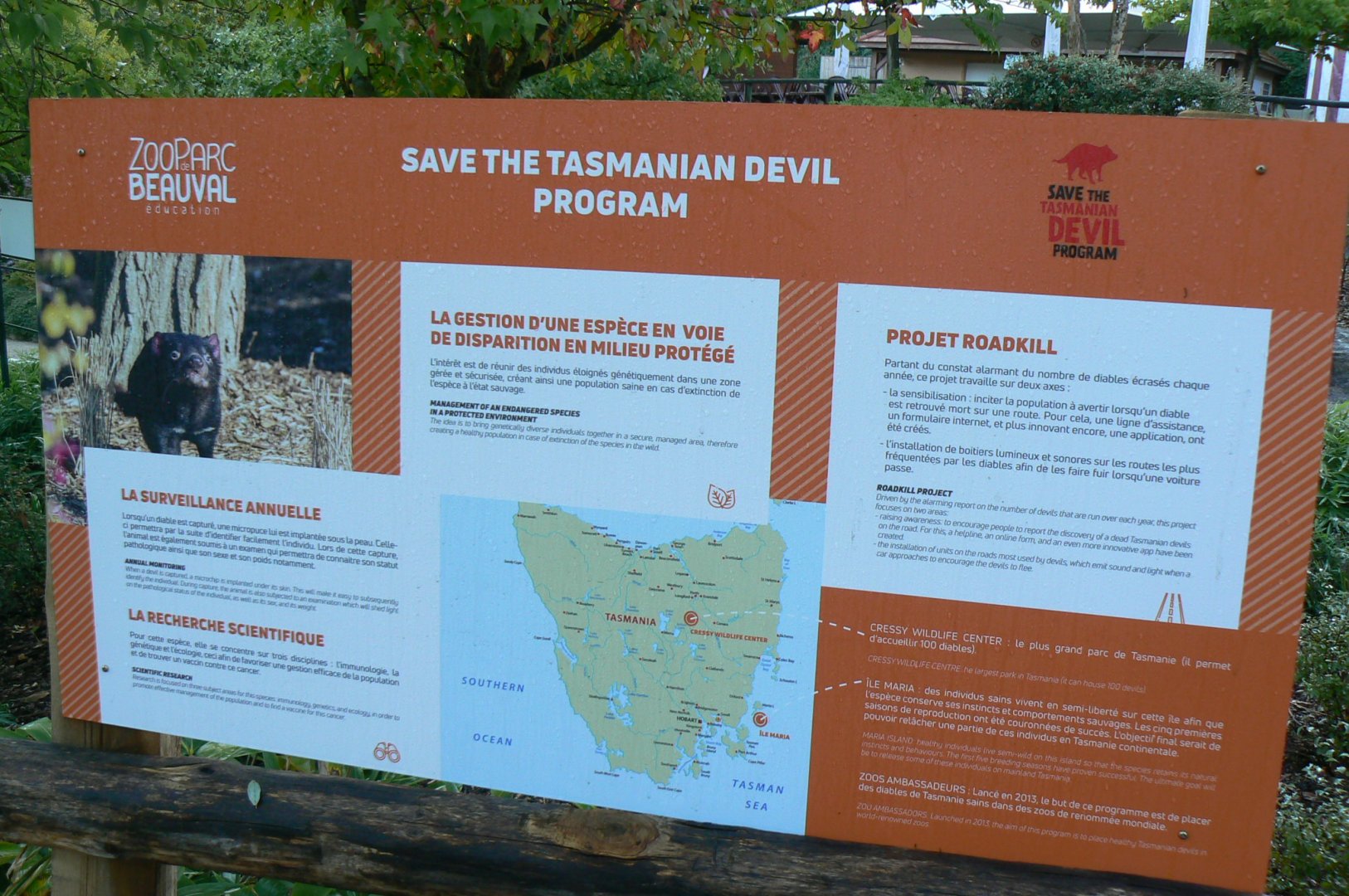 Tasmanian devils exhibit