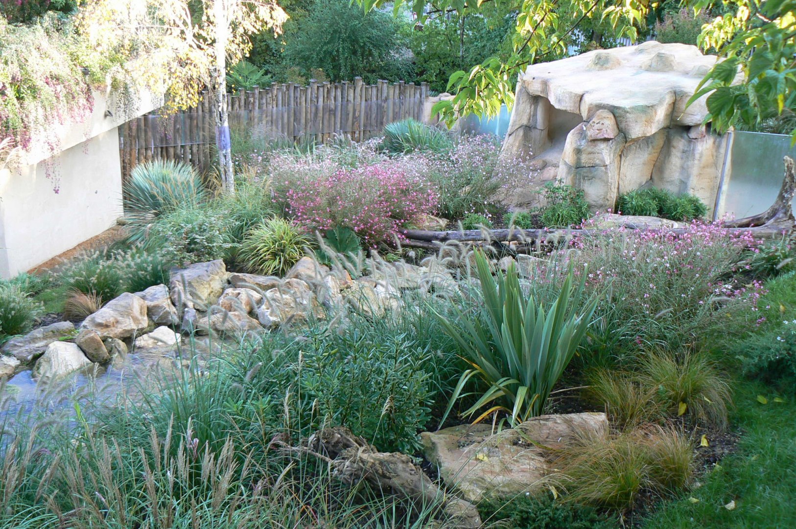 Tasmanian devils exhibit