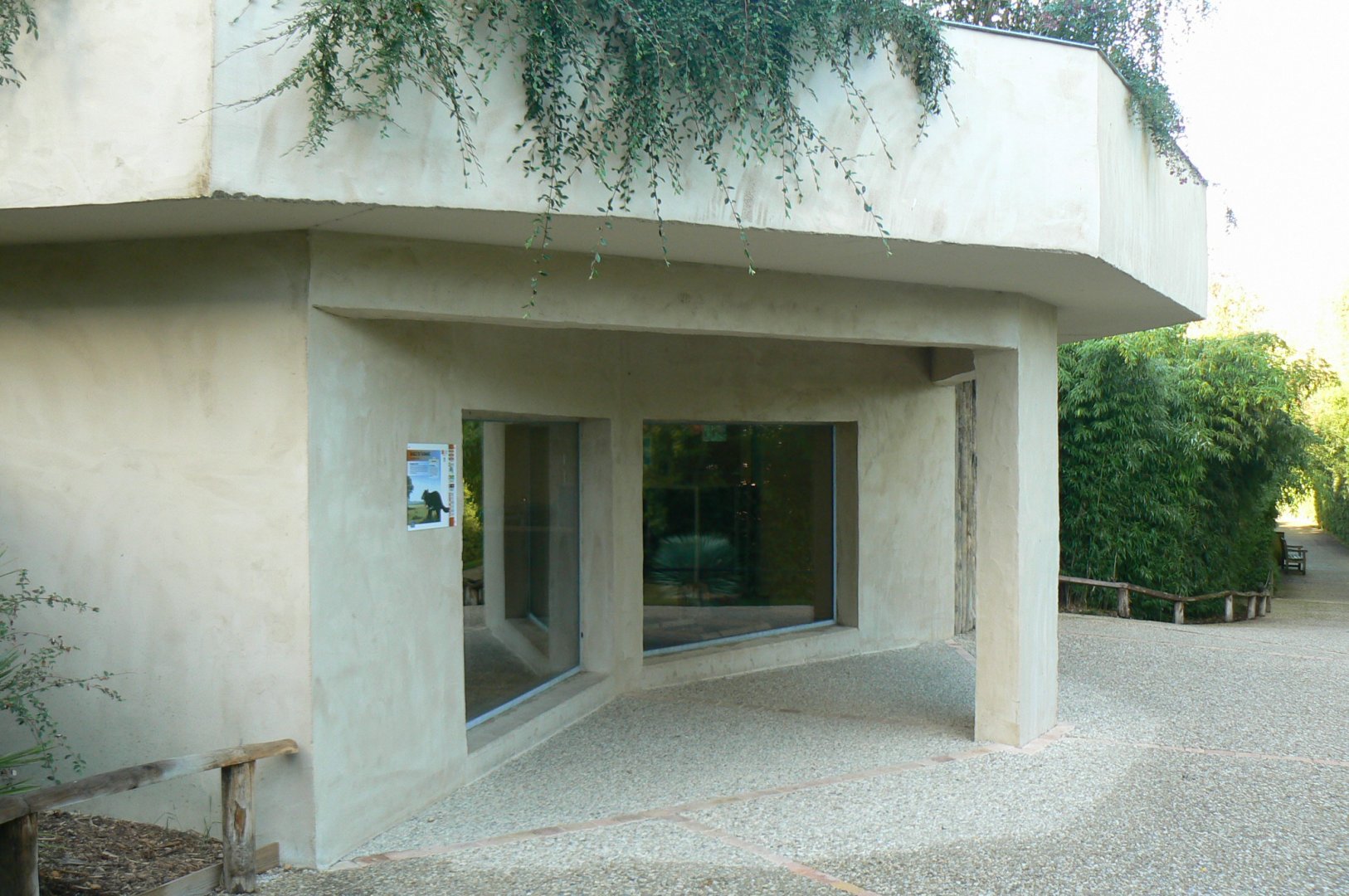 Tasmanian devils exhibit