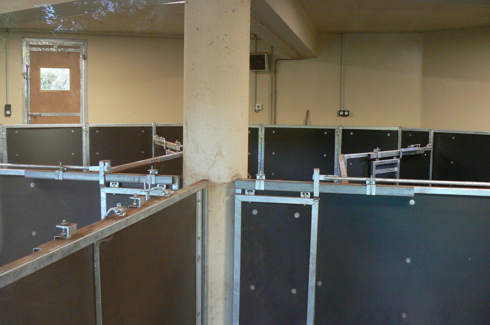 Tasmanian devils exhibit