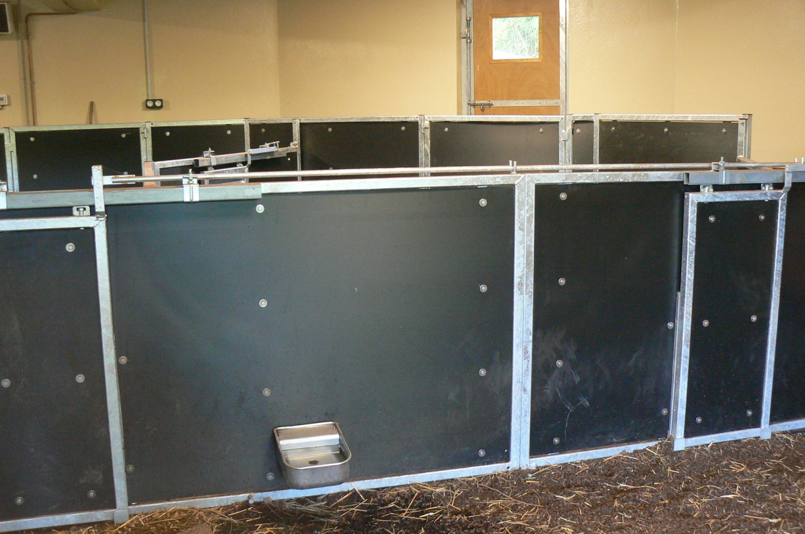 Tasmanian devils exhibit