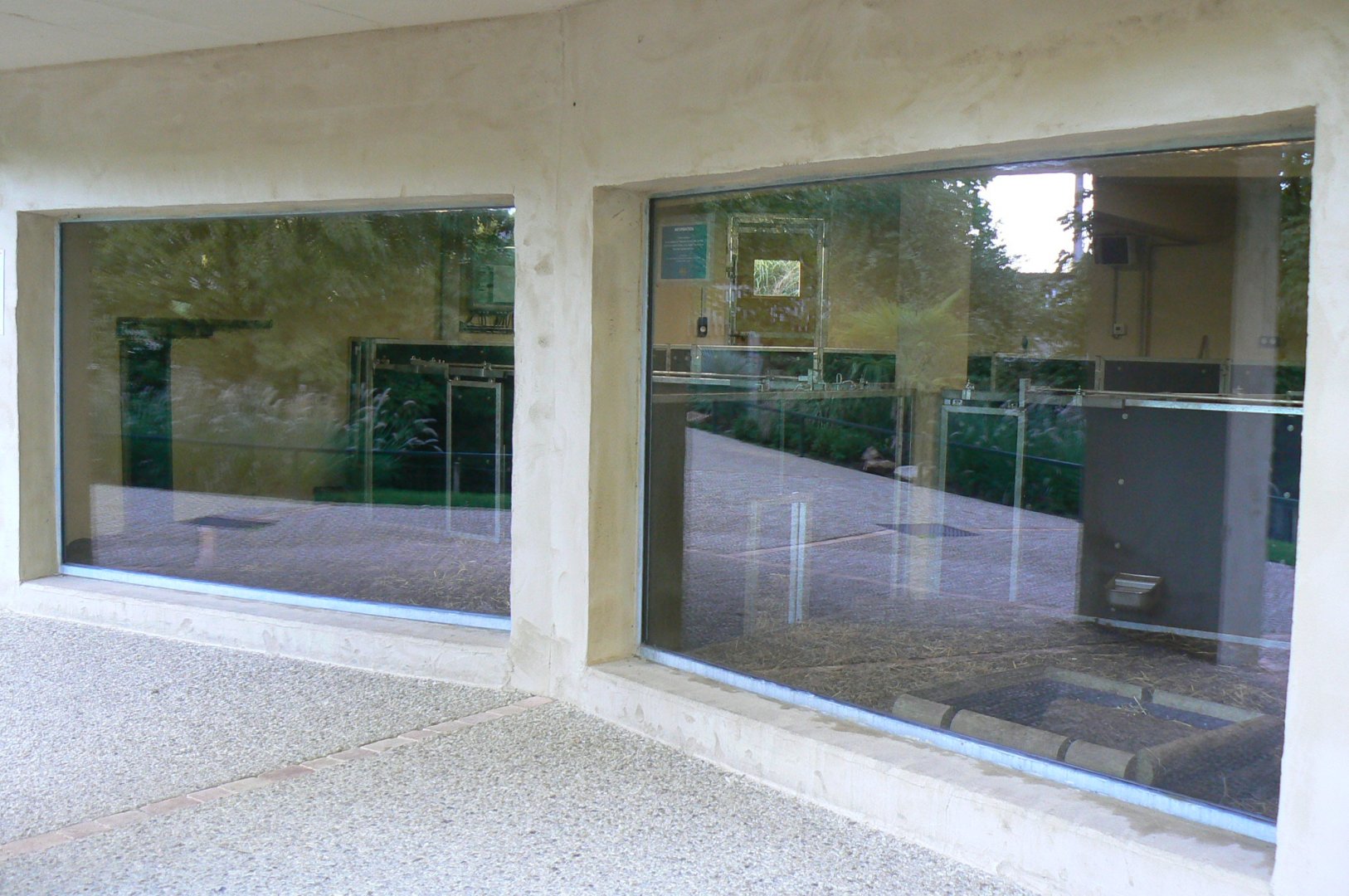 Tasmanian devils exhibit