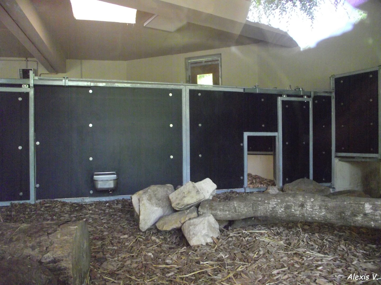 Tasmanian Devils' indoor enclosure - Zooparc de Beauval - 06/2023