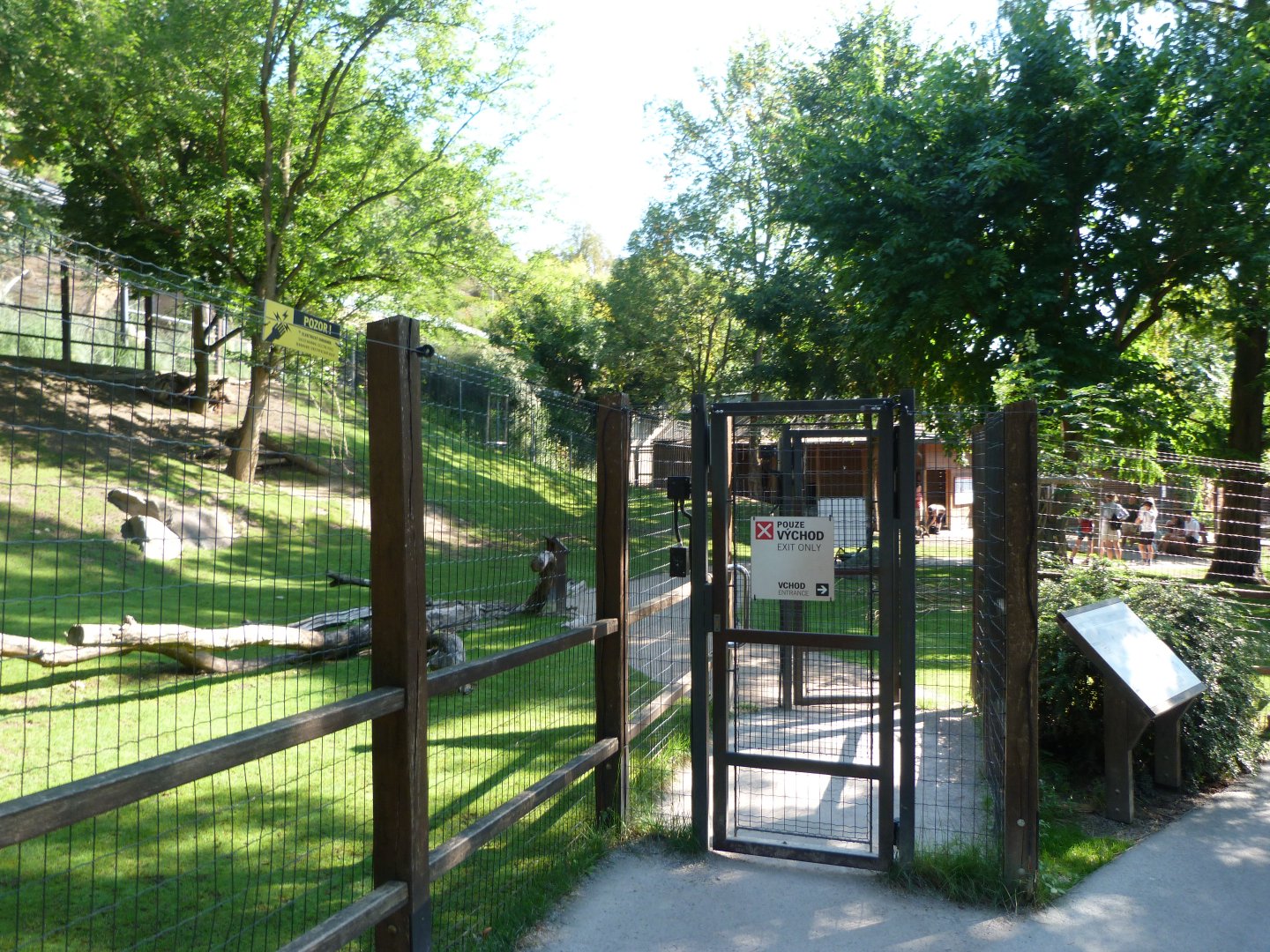 Tasmanian eastern gray kangaroo and Tasmanian red-necked wallaby exhibit -Zoo Praha (2025)