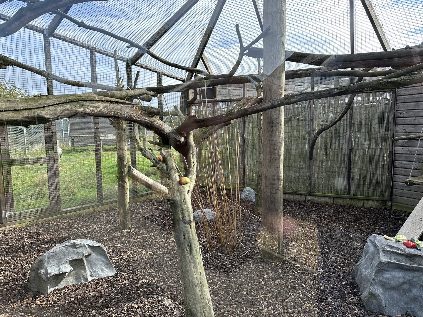 Tasmanian Golden Possum Enclosure at Hamerton Zoo Park (October 2023)