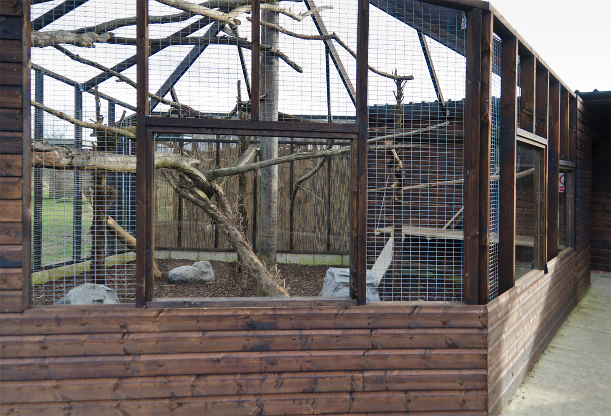 Tasmanian golden possum enclosure?