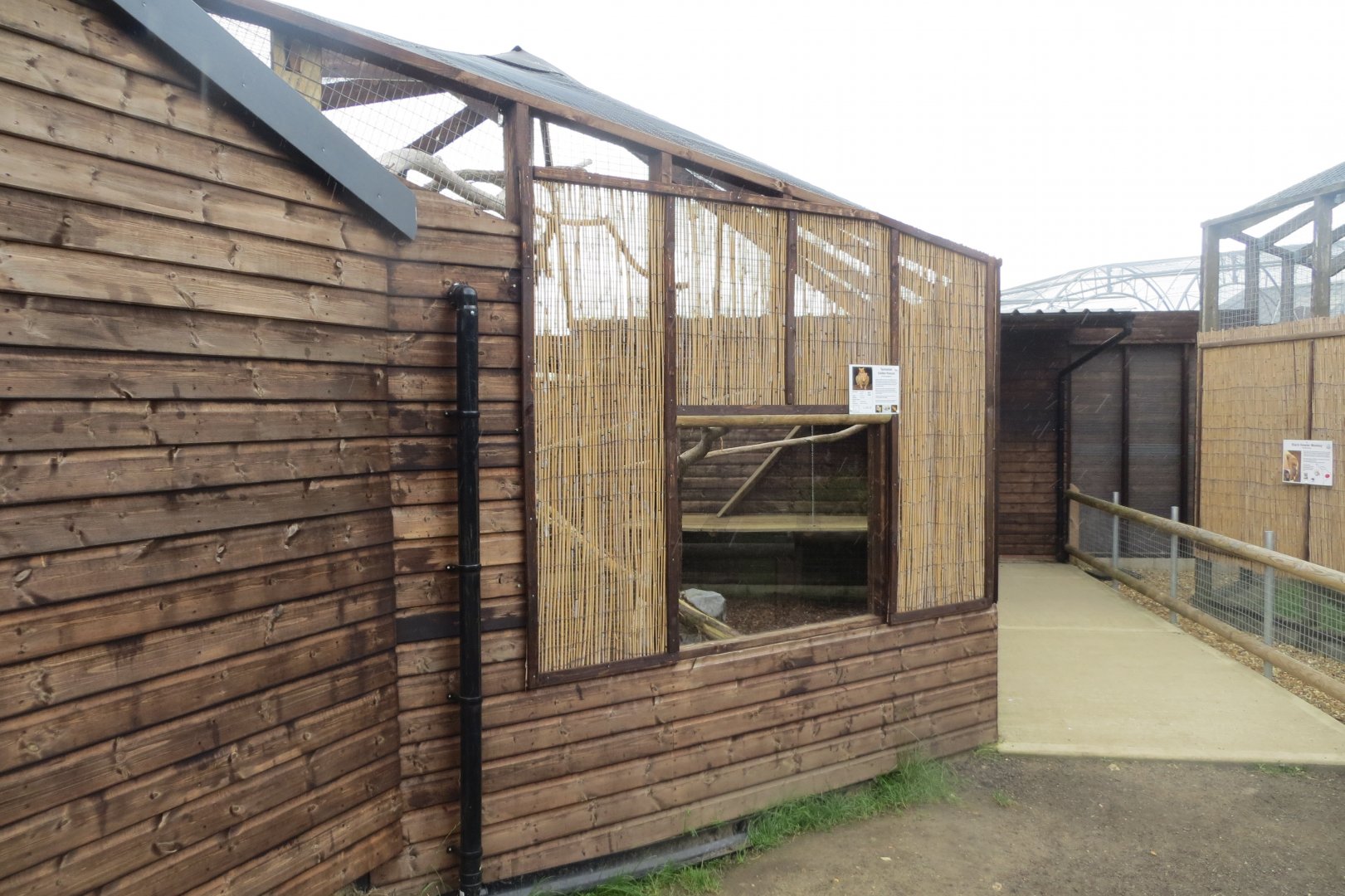 Tasmanian golden possum exhibit 100819