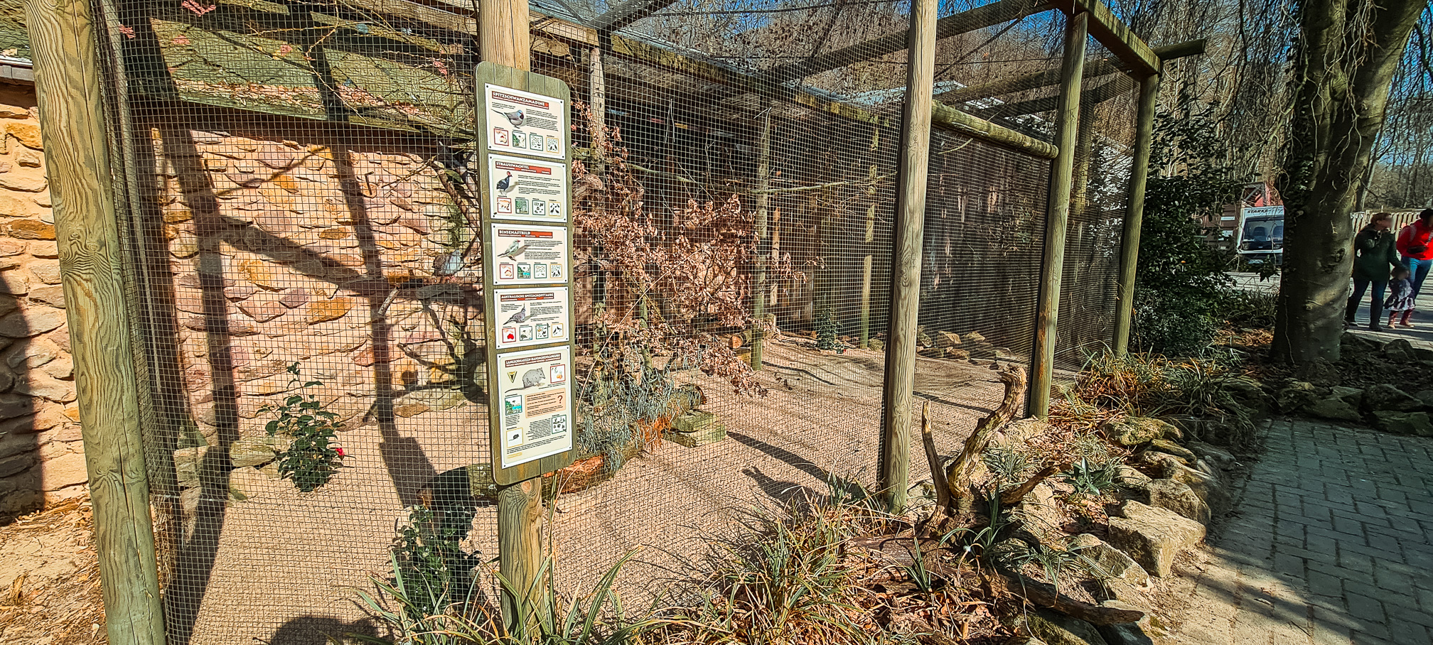 Tasmanian long-nosed potoroos enclosure
