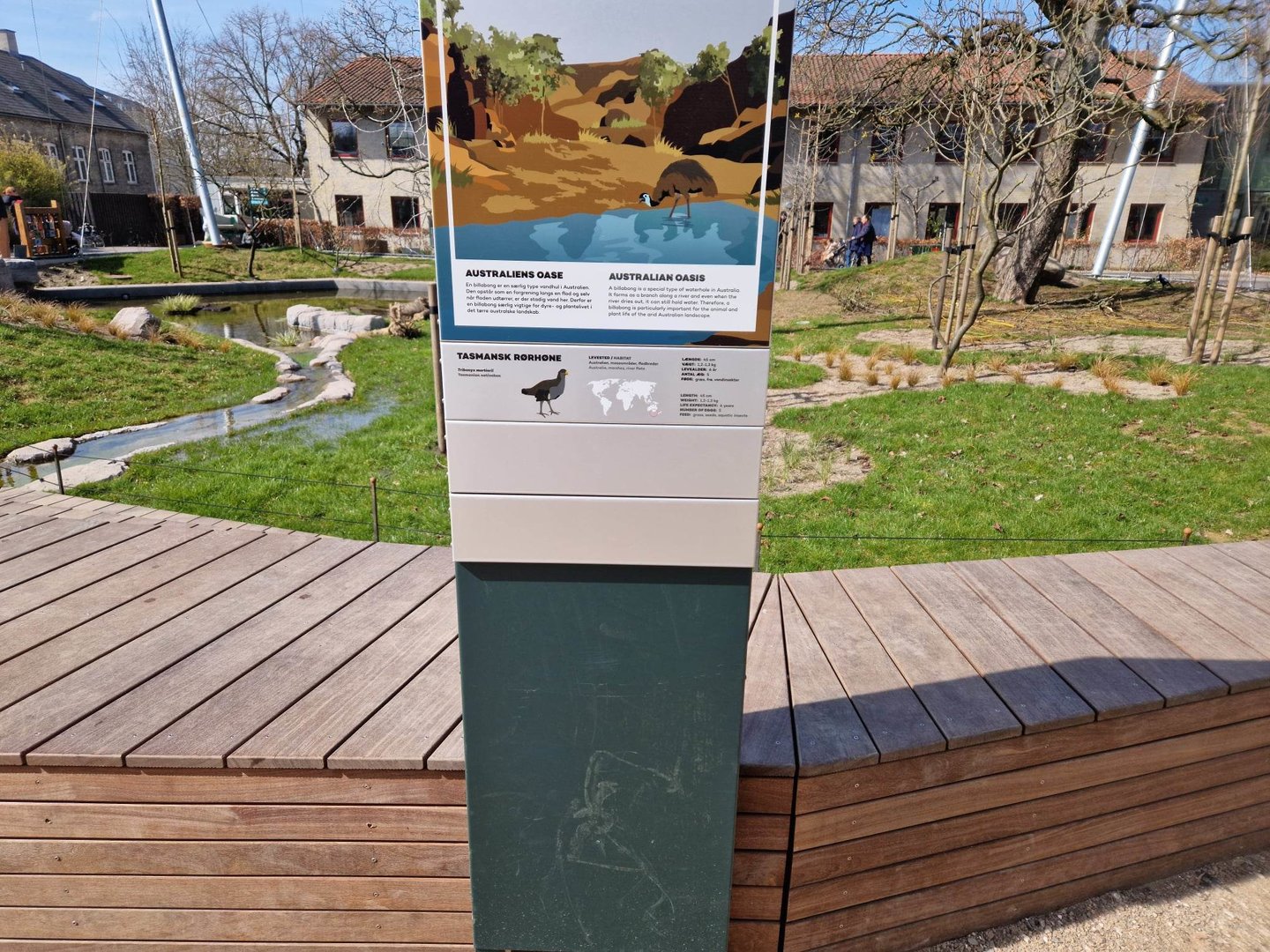 Tasmanian nativehen sign