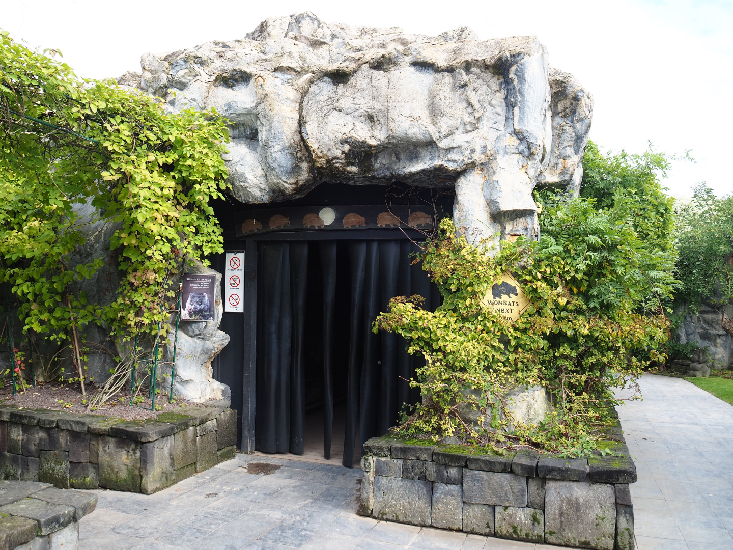 Tasmanian wombat cave, 2019-10-04