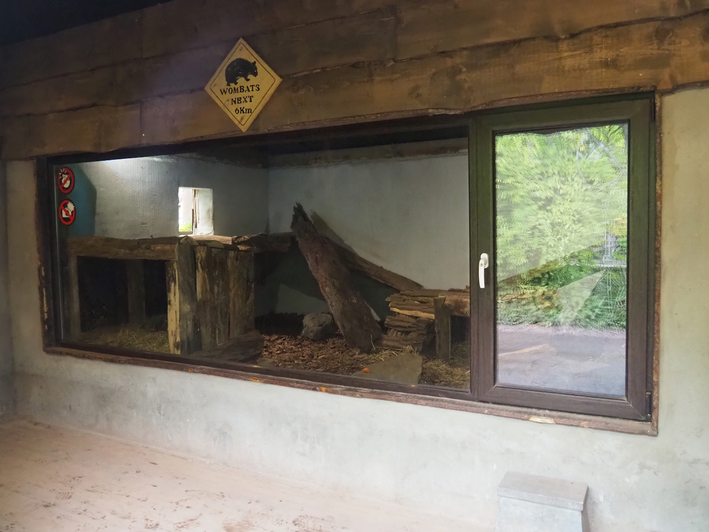 Tasmanian wombat den, 2023-10-13