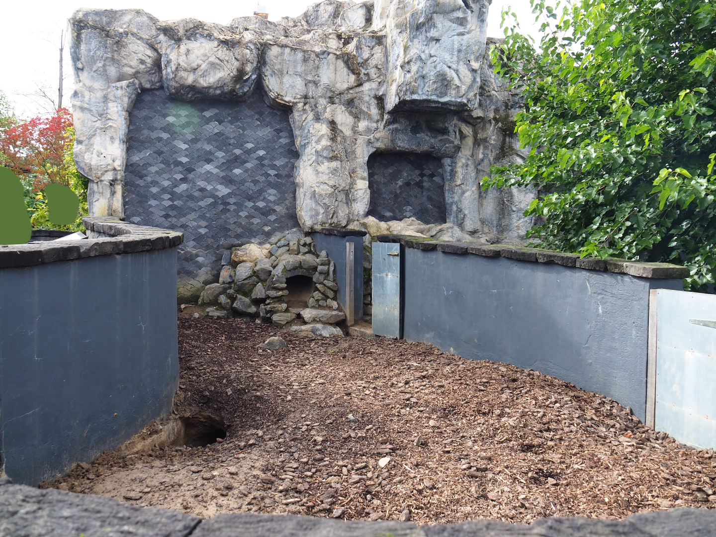 Tasmanian wombat exhibit, 2019-10-04