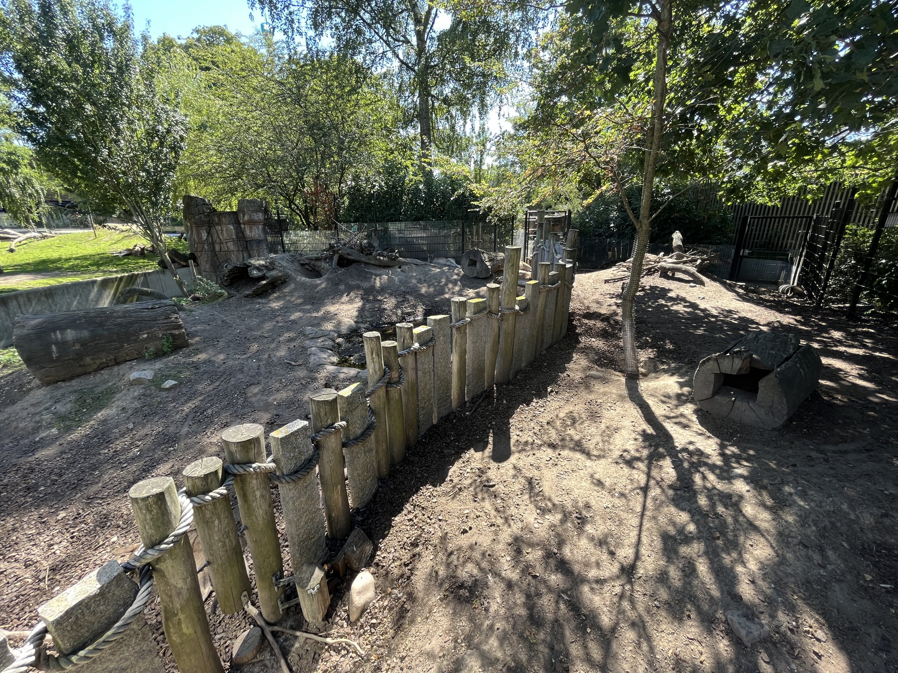 Tasmanian Wombat Exhibit