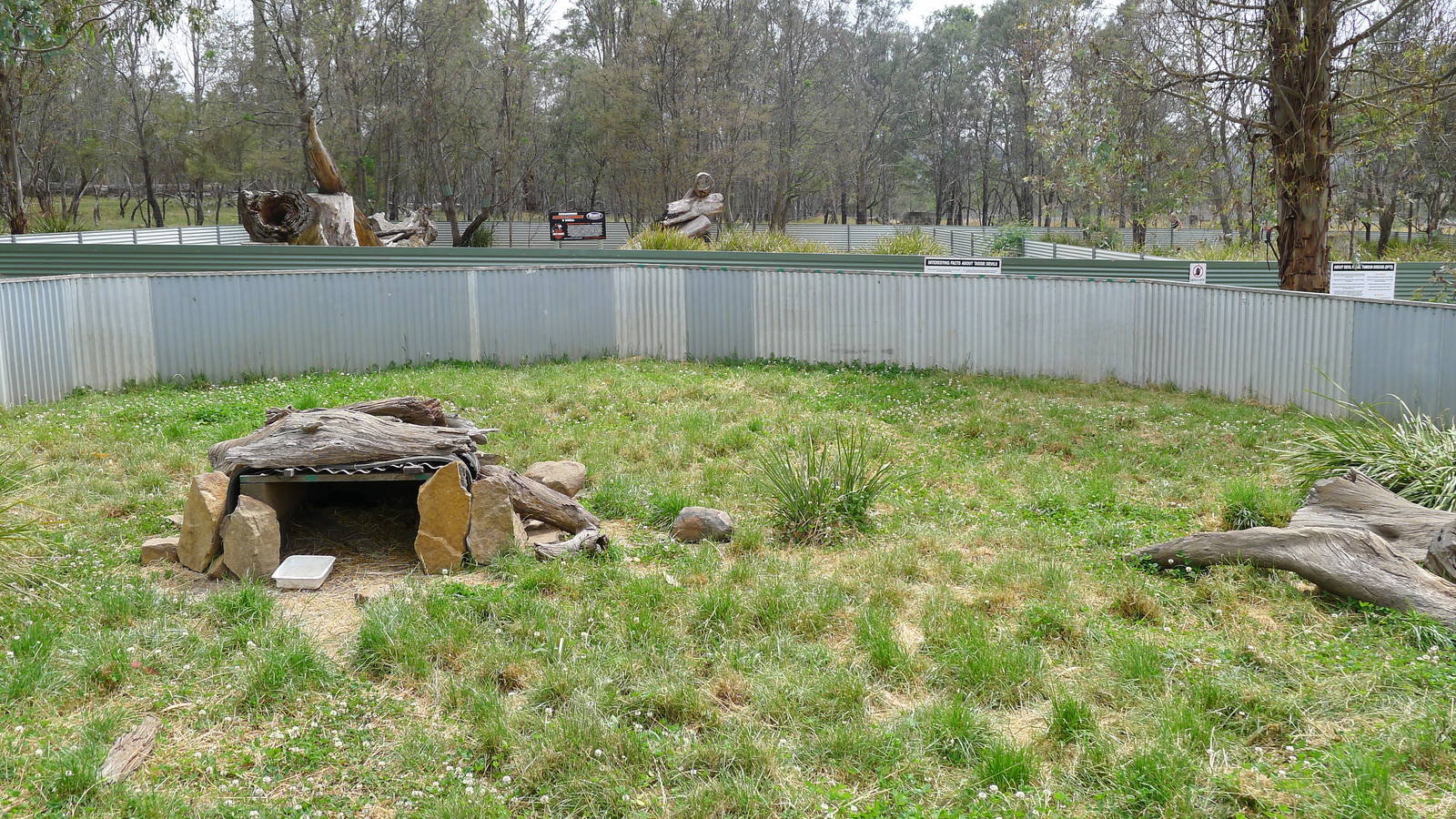Tassie Devil enclosure