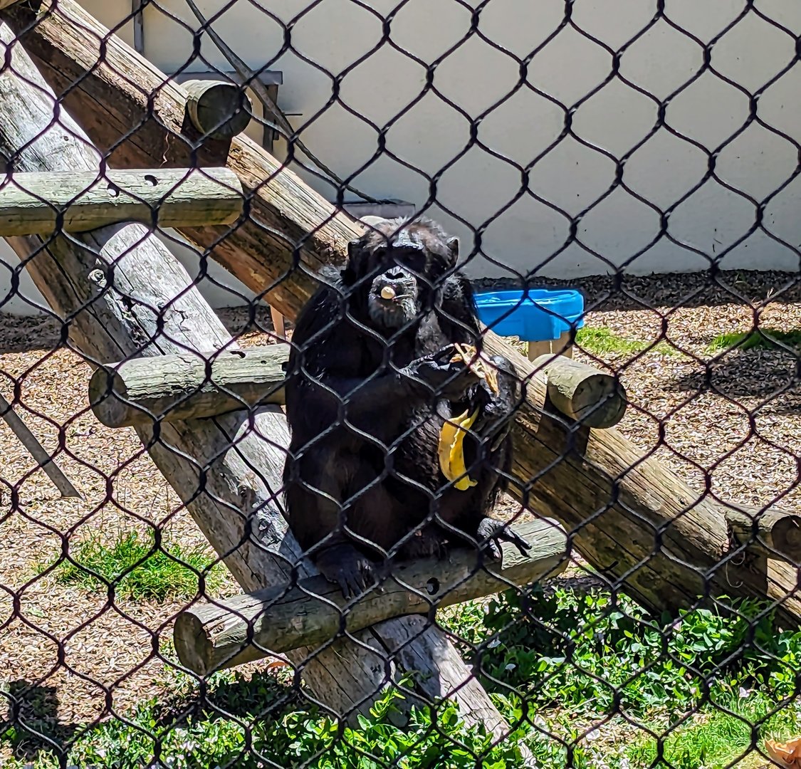 Tasty treat - July 8th 2023