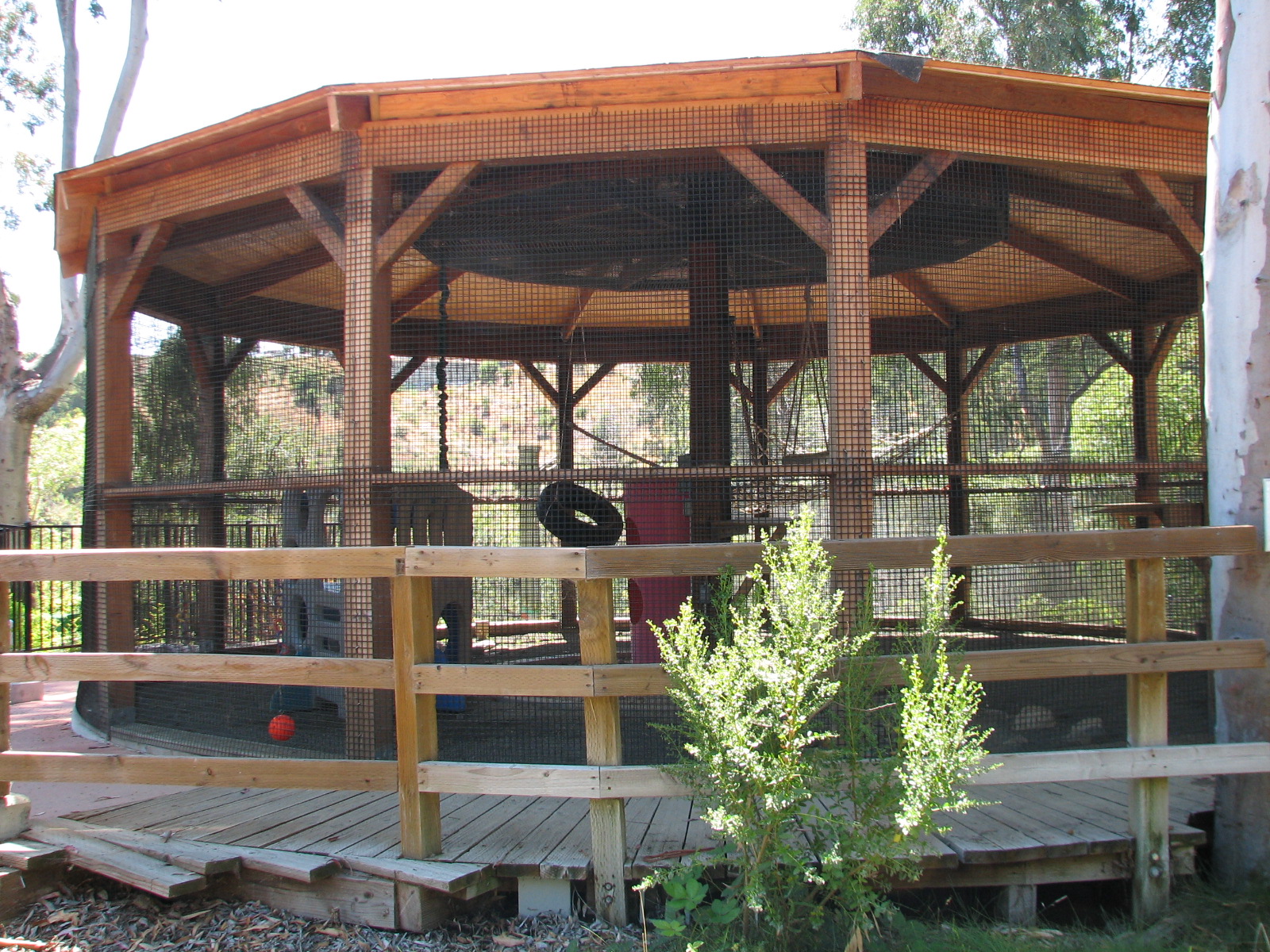 Tavas Jungleland - White-nosed Coati Exhibit