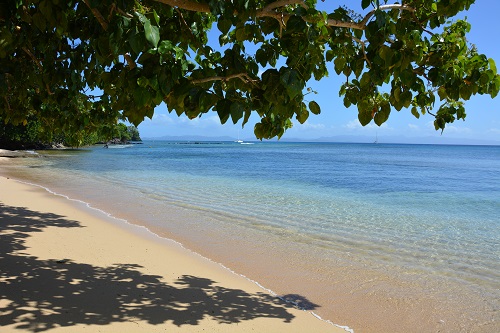 Taveuni island beach scene, Fiji