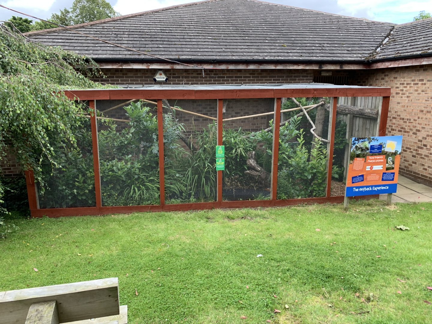 Tawny Frogmouth Aviary at Northumberland College Zoo (2020)