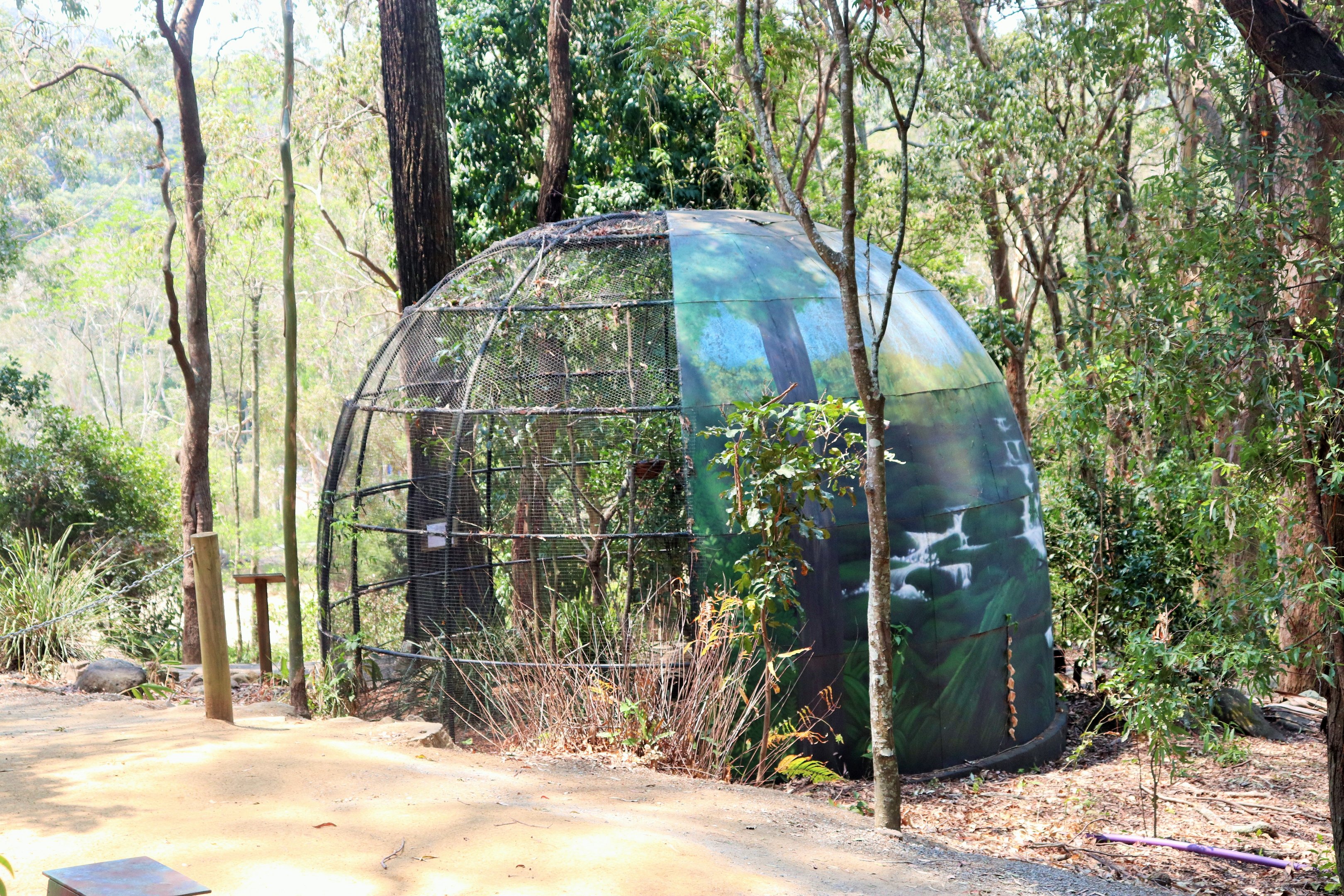 Tawny Frogmouth/Bush Stone Curlew Aviary