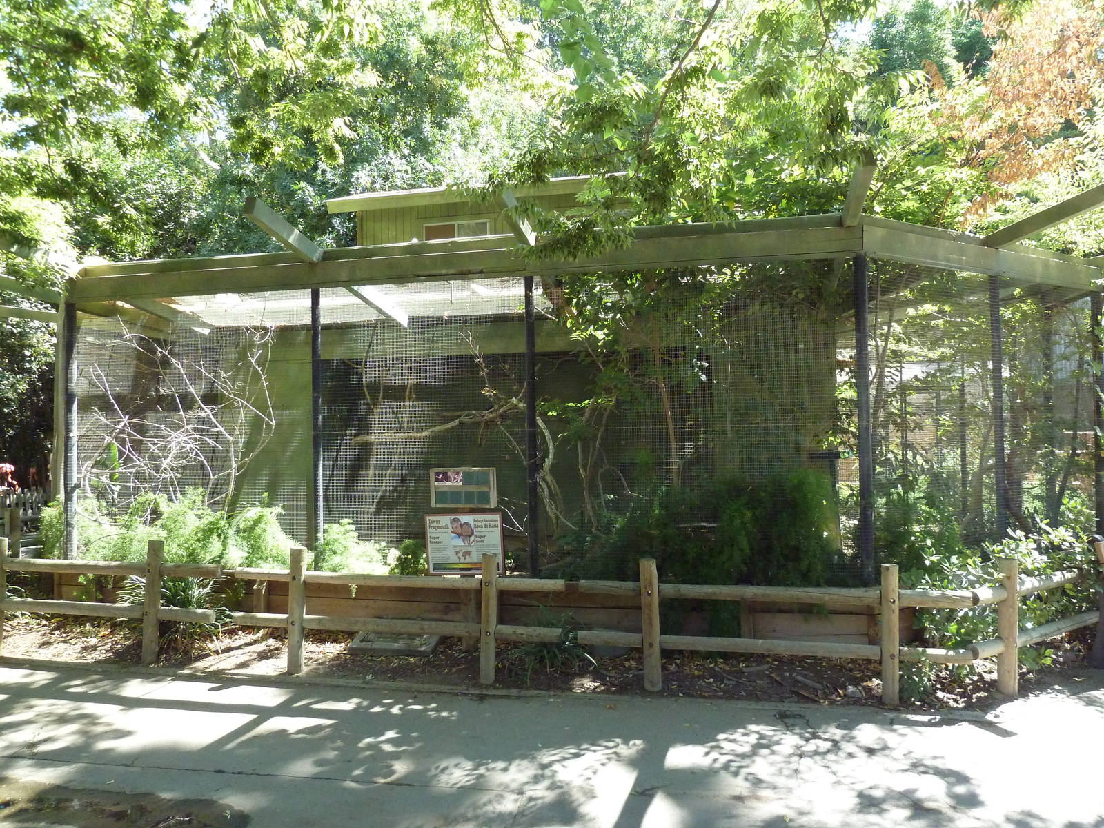 Tawny Frogmouth/Superb Starling/White-Rumped Shama Thrush Exhibit