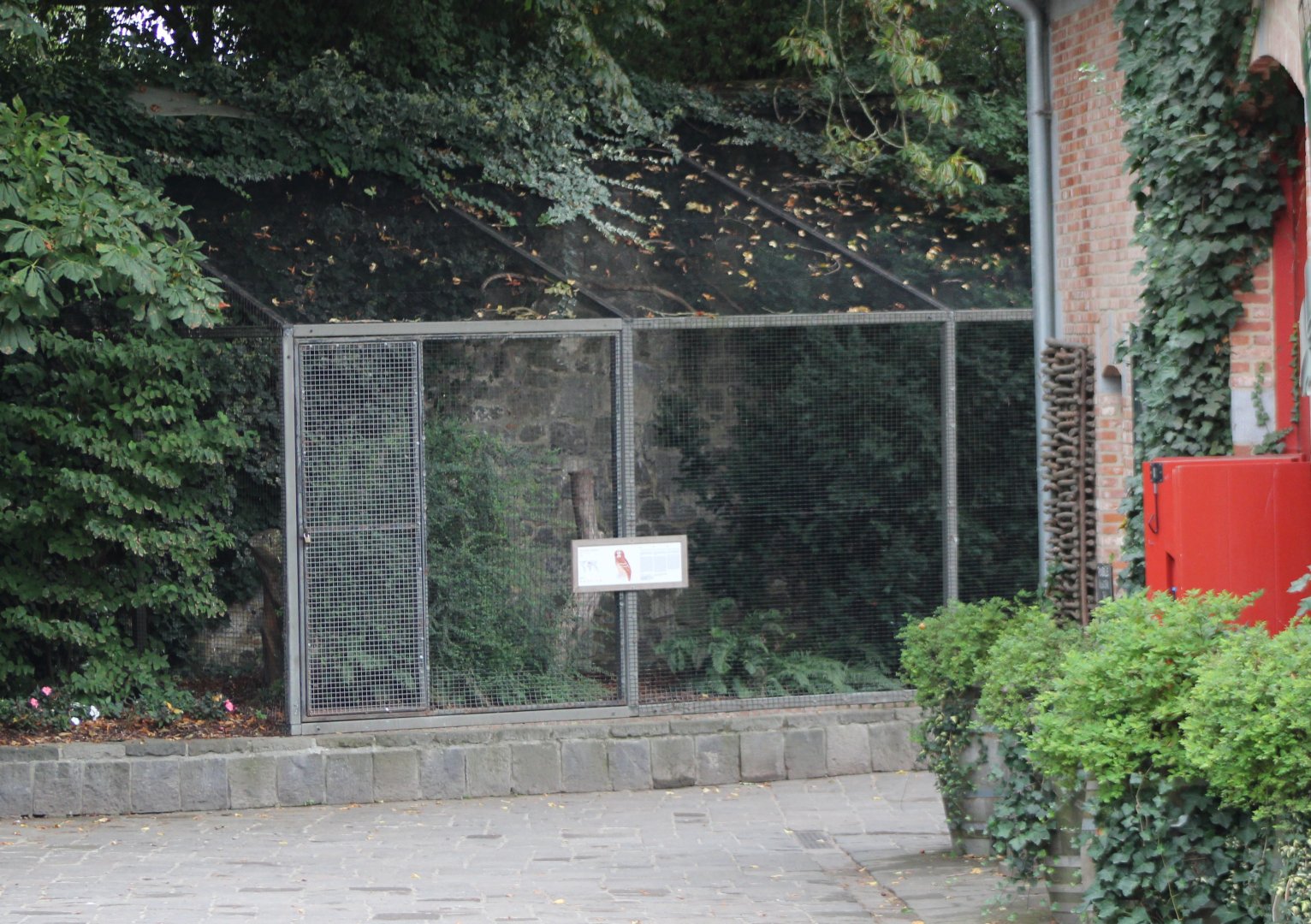 Tawny owl and Malayan wood-owl aviary
