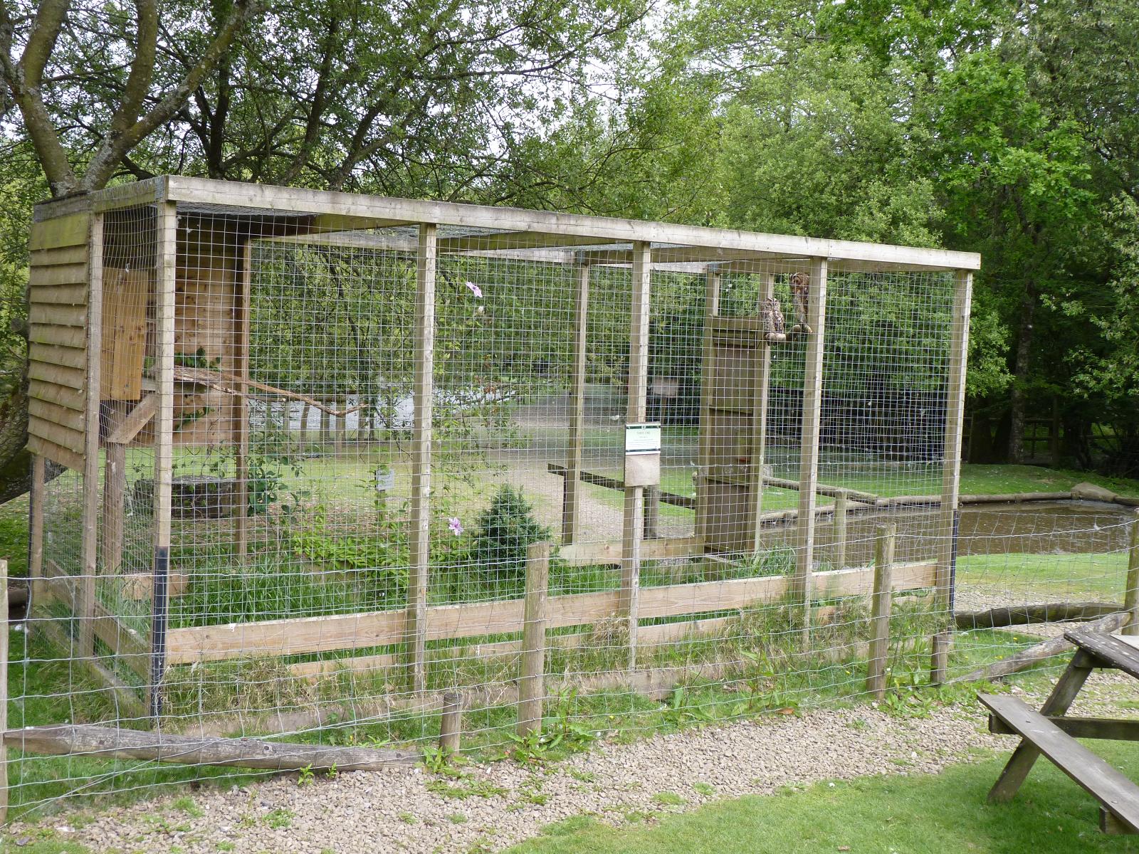 Tawny Owl Aviary