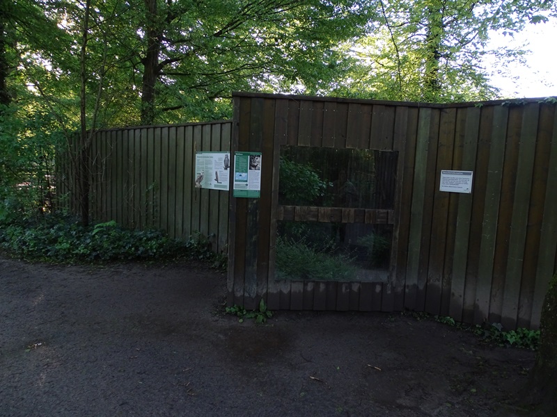 Tawny owl enclosure