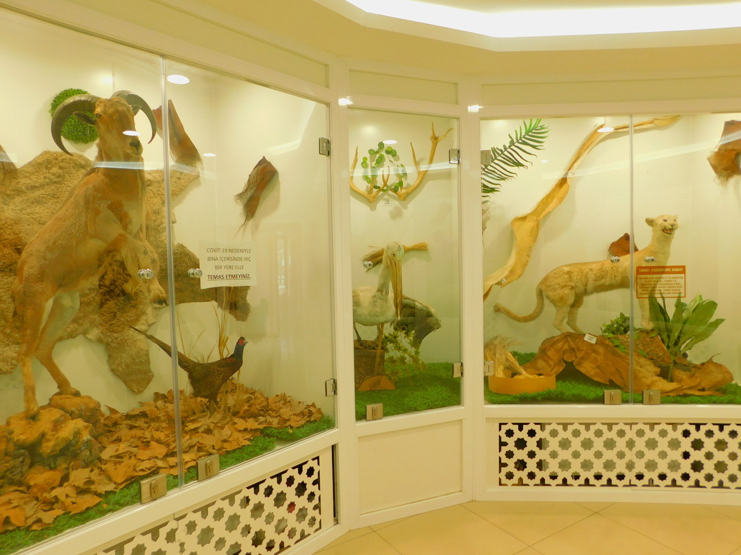 Taxidermies at the Karatay Zoo