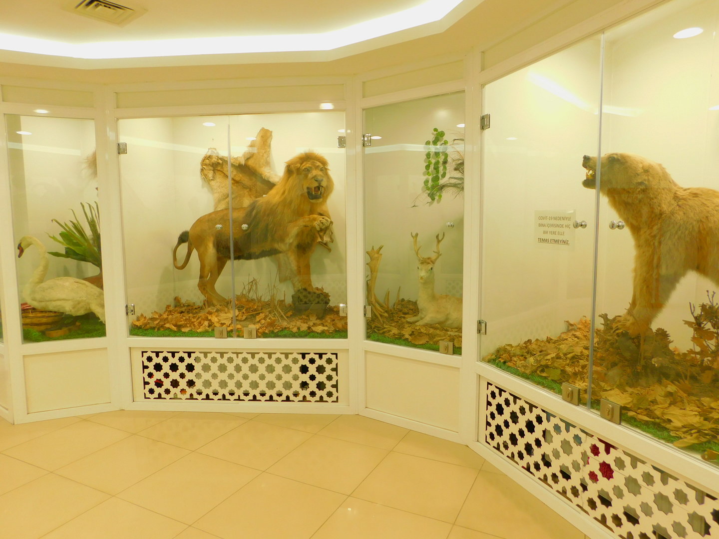 Taxidermies at the Karatay Zoo