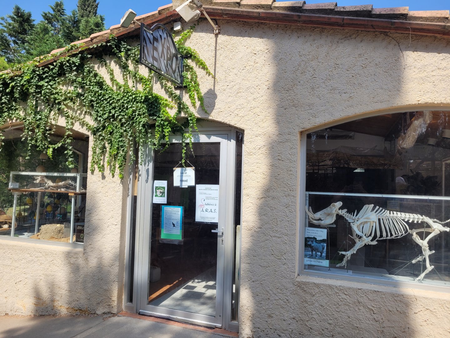 Taxidermy hall -Réserve Africaine de Sigean (2022)