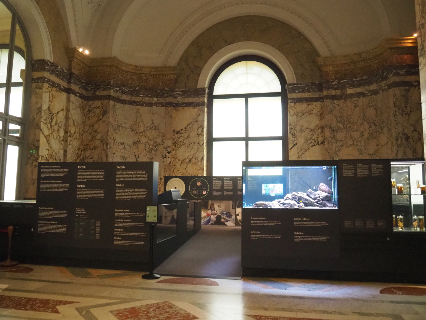 Taxolab area of the Landscapes and Biodiversity Hall, 2021-10-20