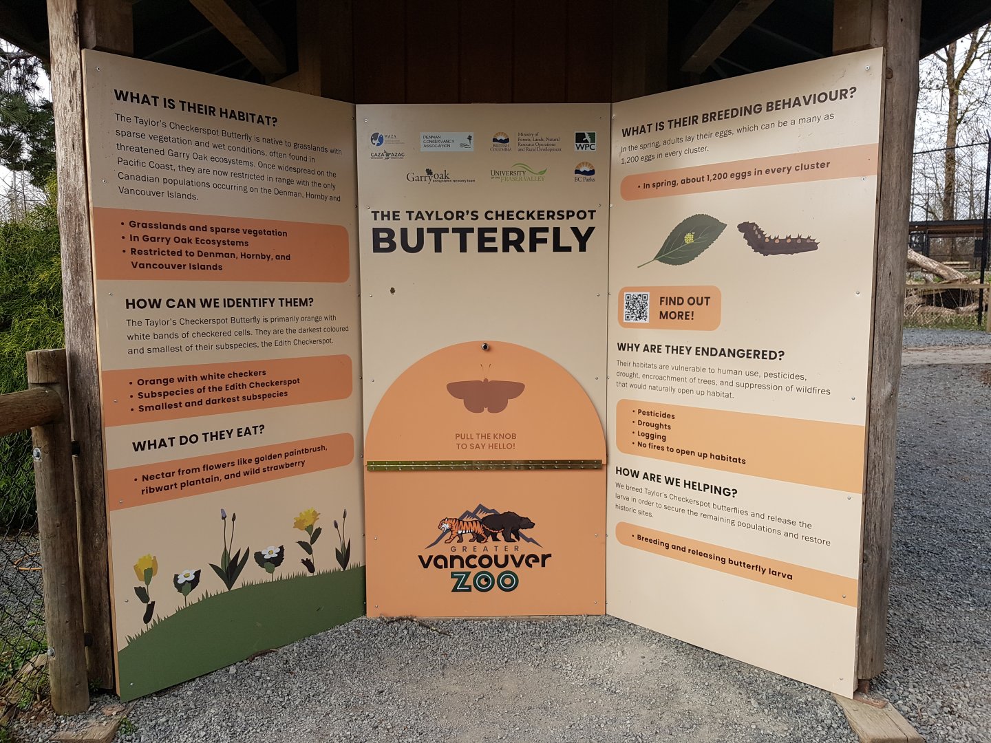 Taylor’s Checkerspot Butterfly Signage