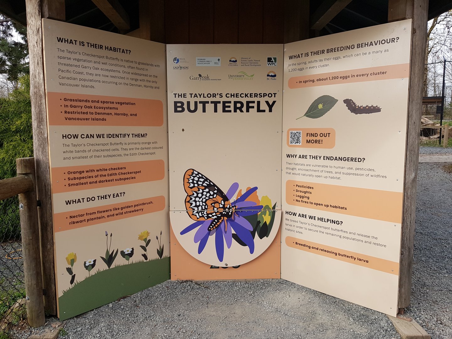 Taylor’s Checkerspot Butterfly Signage