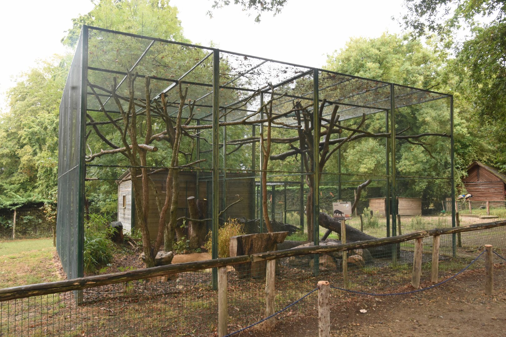 Tayra aviaries