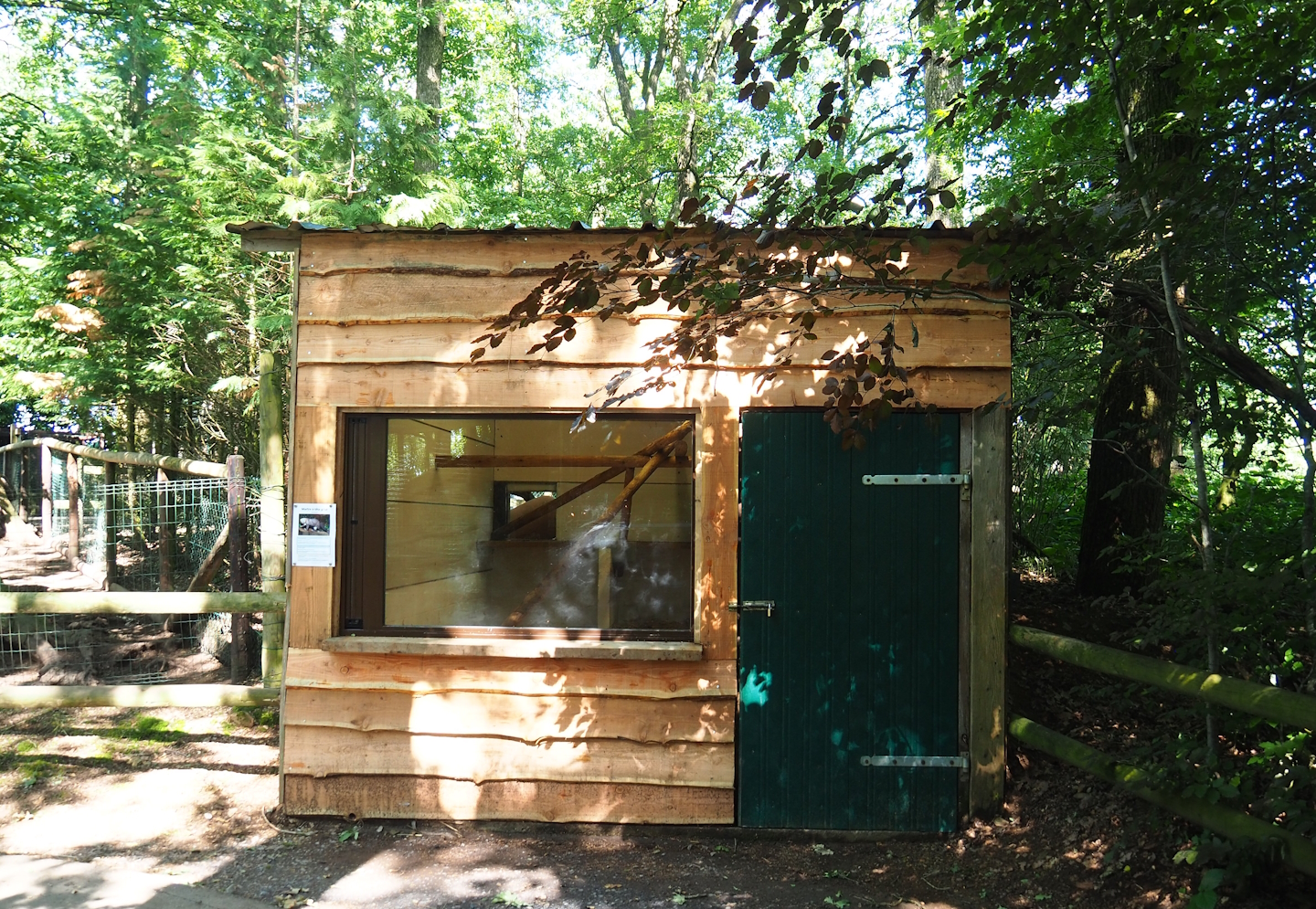 Tayra barn, 2023-06-24