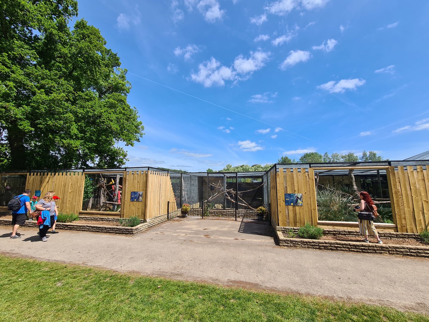 Tayra Complex, Beale