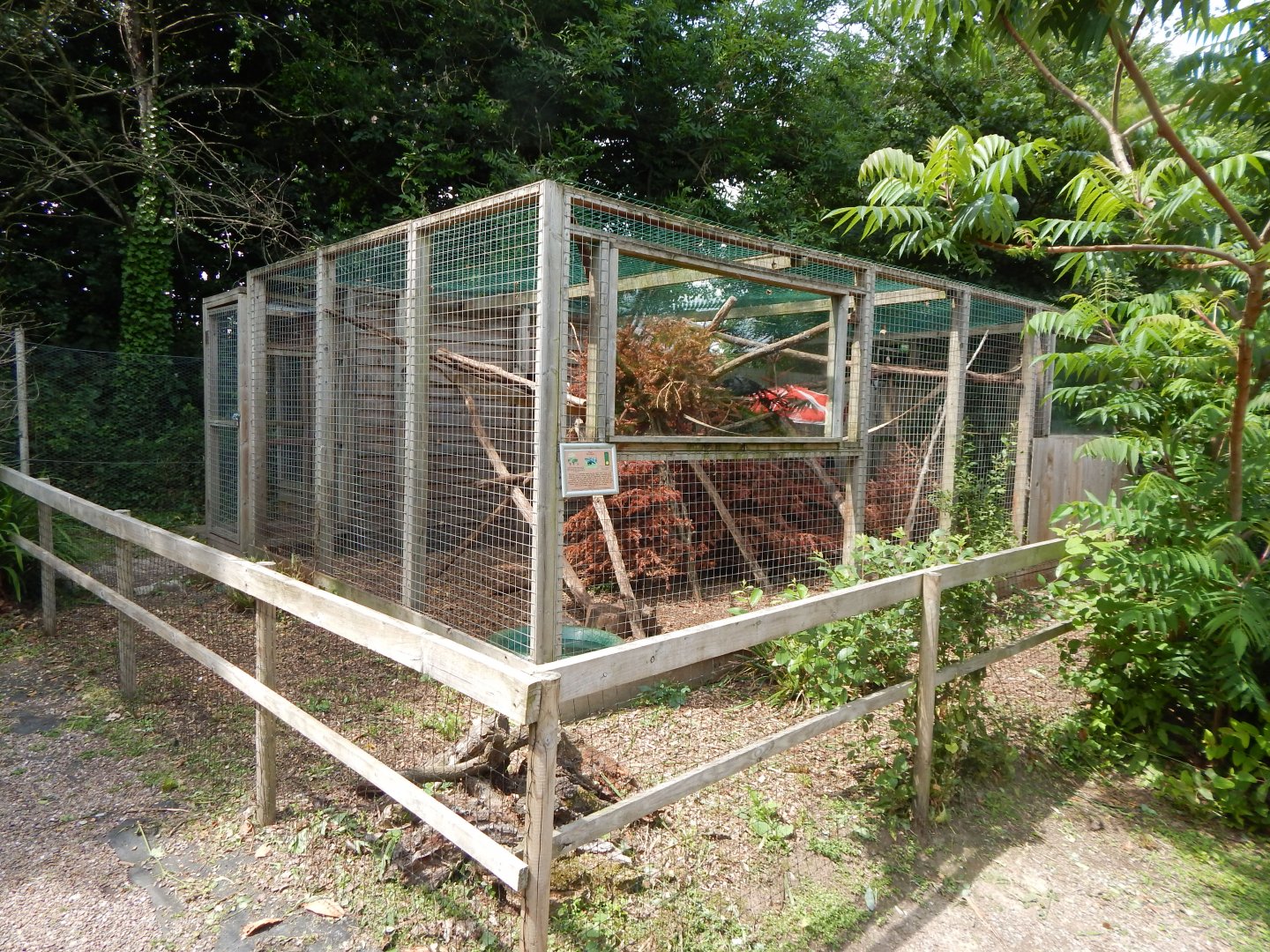 Tayra enclosure 060625