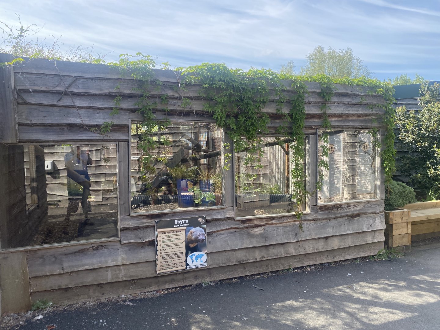 Tayra enclosure (1 of 2) 280425