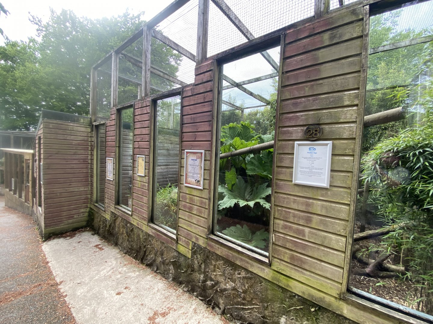 Tayra enclosure 150522