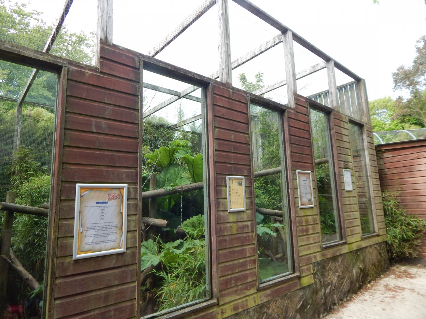 Tayra enclosure 150522