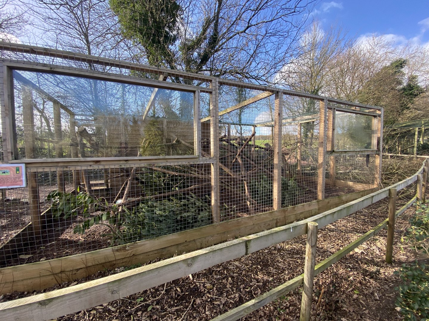 Tayra enclosure 250222