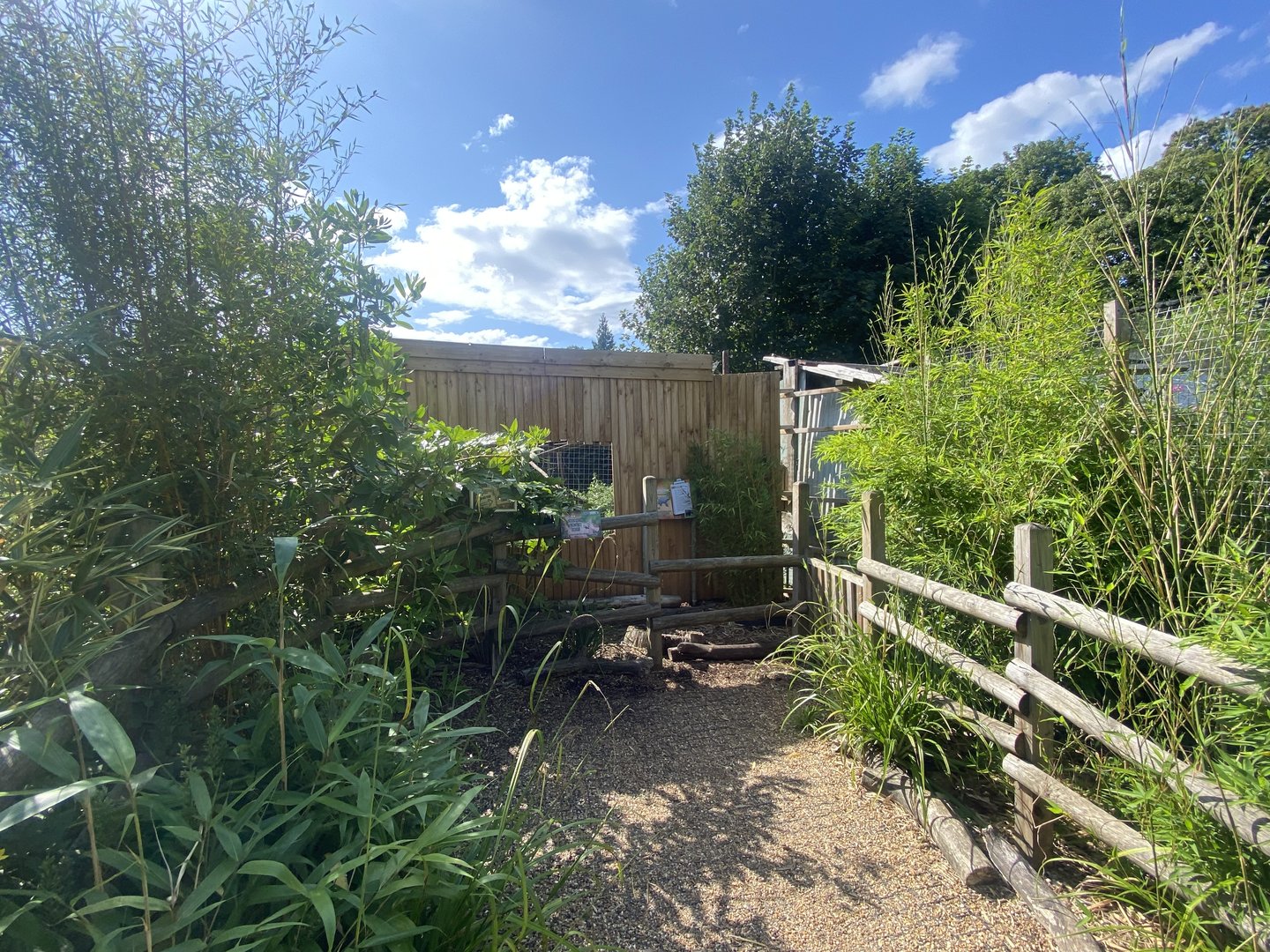 Tayra enclosure 290723