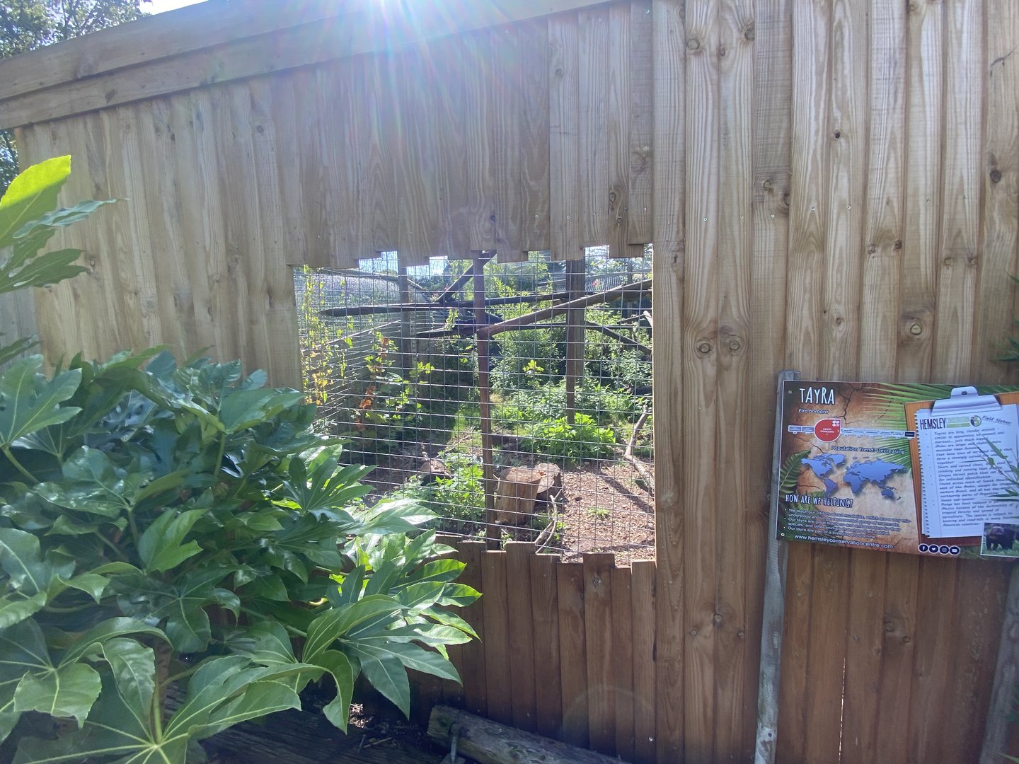 Tayra enclosure 290723