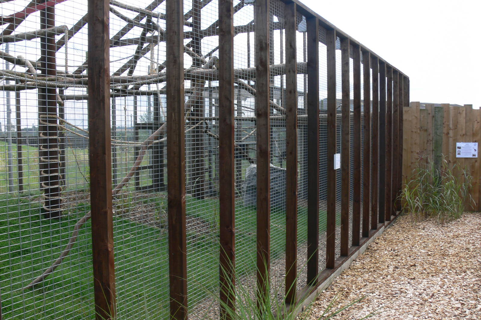Tayra Enclosure at Hamerton Zoo, 23/08/14